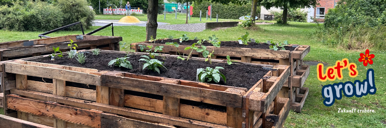 Das Bild zeigt selbstgebaute Hochbeete aus Holzpaletten auf einer grünen Fläche unter Bäumen. Die Beete sind frisch bepflanzt, im Hintergrund sind ein Spielplatz und Wohnhäuser zu sehen.