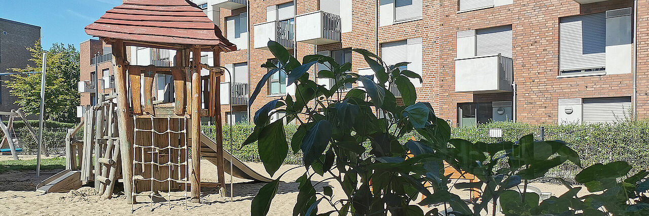 Erphobogen Slider Ein Spielplatz mit Sand und Klettergerüst, im Vordergrund eine Pflanze, im Hintergrund Wohnhäuser
