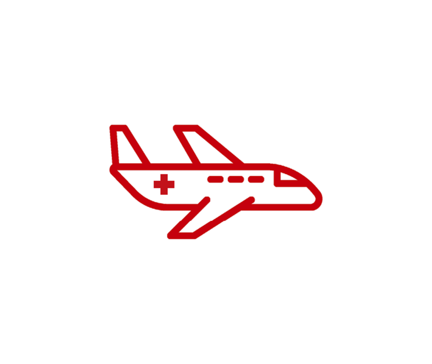 Icon Flugdienst