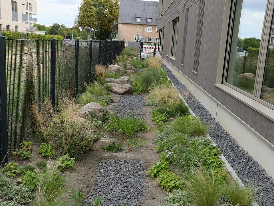 Ein bepflanzter Garten zwischen einer modernen Hausfassade und einem Zaun. Im Hintergrund sind moderne Wohnhäuser zu sehen.