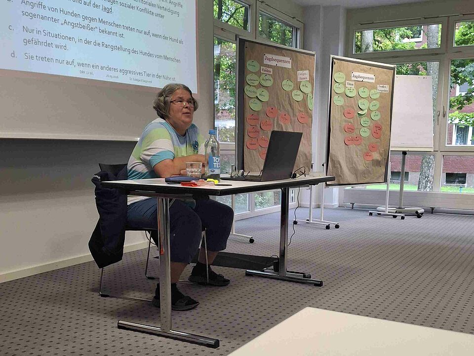 Eine Frau sitzt an einem Tisch, hinter ihr eine Präsentation an der Wand und neben ihr zwei Stellwände mit Post its